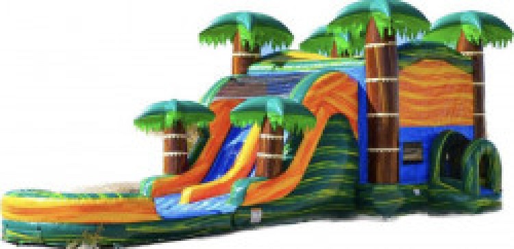 Bounce Houses W/ Slide Rentals