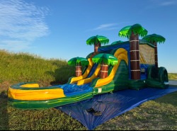 Cali Palms DL Bounce House W/Slide